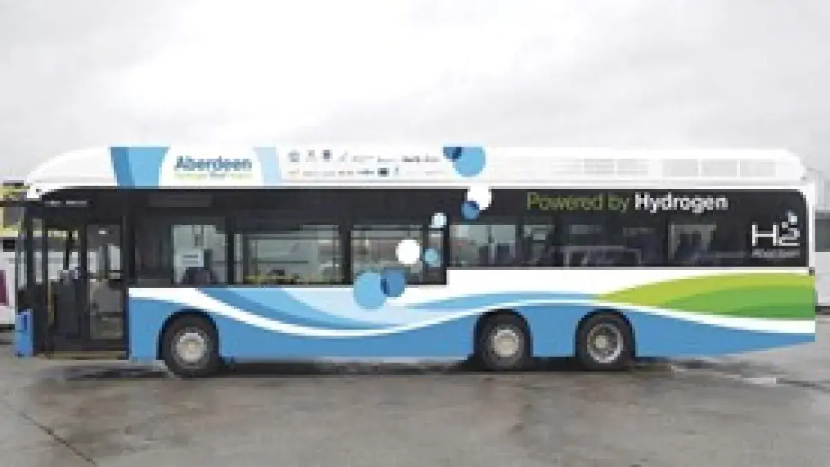 Blue and white bus