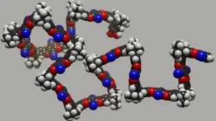 Neil McKeown PIM-1_gray_featured_small.jp