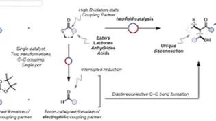 Thomas Group teaching an old dog new tricks