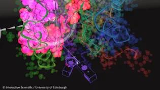  Interactive Scientific