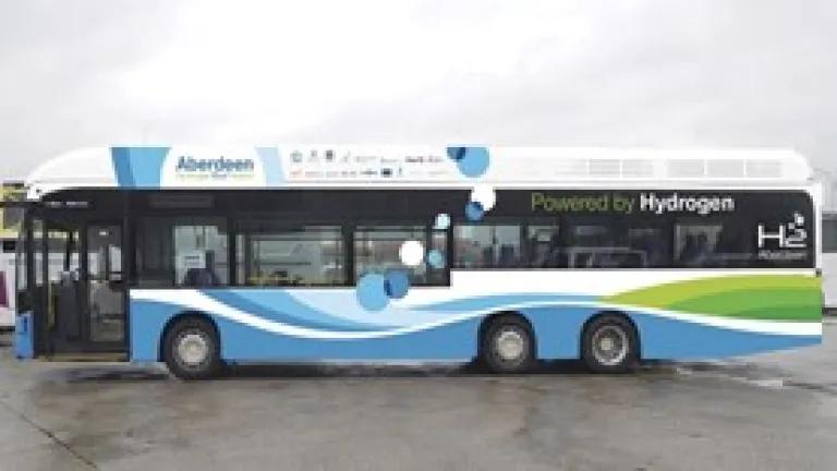Blue and white bus