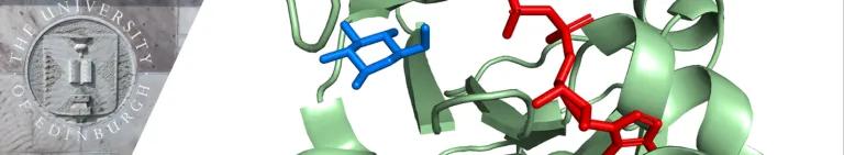 Coxon group banner