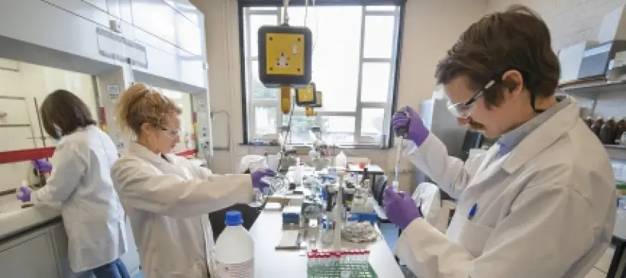 Students in a research lab