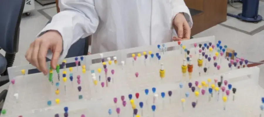 A series of coloured tubes in an array