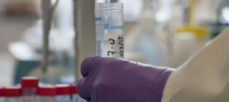 Hands holding a test tube