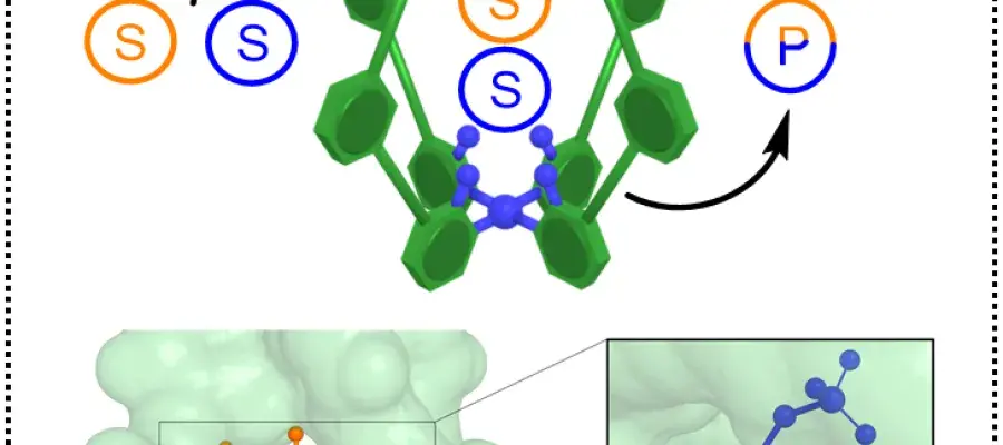 Overview of a catalytic process