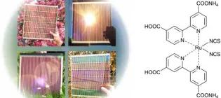 Perovskite/Hybrid Solar Cells and Luminescent Materials