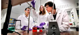 Students working in a lab