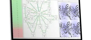 Cresset's Flare FEP software
