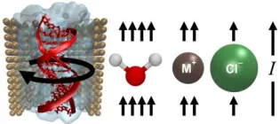 A DNA Rotary Pump