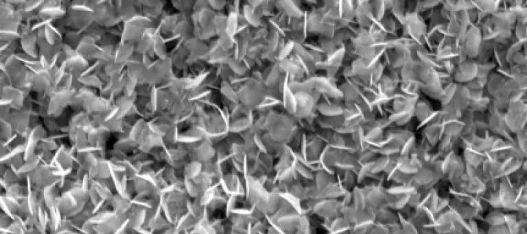 Microscope image of a new material