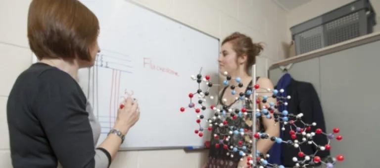 A student talking to their supervisor