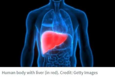 Liver image 