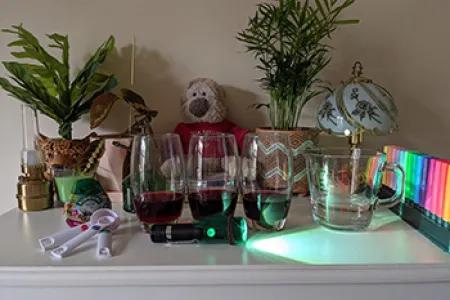 Smartphone Spectrometer