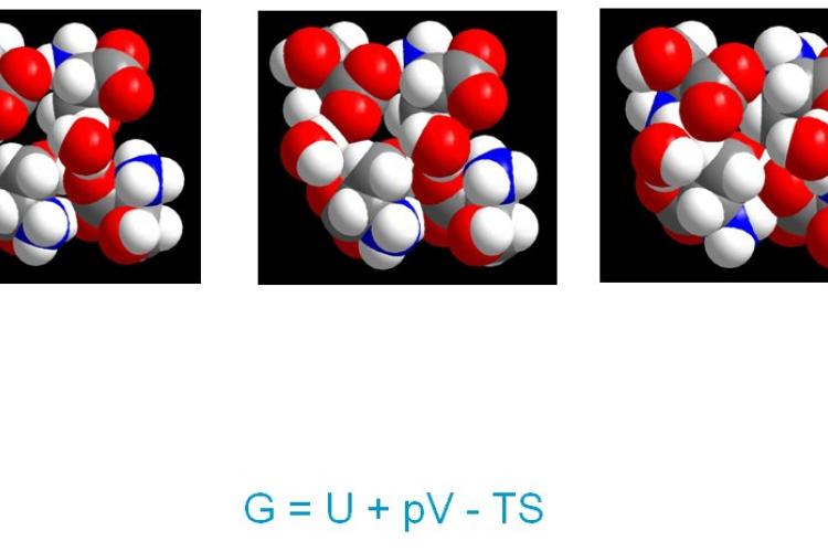 Three different serine molecules under pressure