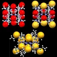 Intramolecular vdW Interactions Challenge Anion Binding in perthio-Bambusurils