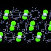 Dual-Functional Semithiobambusurils