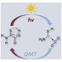 Equilibrating parent aminomercaptocarbene and CO$_2$ with 2-amino-2-thioxoacetic acid via heavyatom quantum tunneling