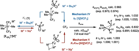 Lloyd Jones Mechanism