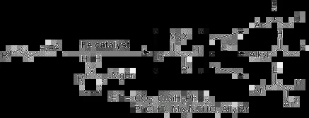 Iron-Catalyzed Hydromagnesiation of Olefins