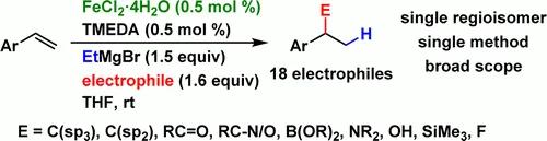 Broad Scope Hydrofunctionalization of Styrene Derivatives Using Iron-Catalyzed Hydromagnesiation