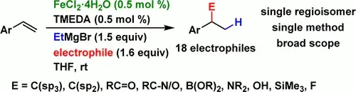 Broad Scope Hydrofunctionalization of Styrene Derivatives Using Iron-Catalyzed Hydromagnesiation