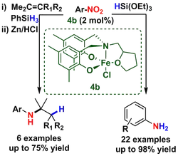 Chemoselective Nitro Reduction and Hydroamination Using a Single Iron Catalyst.