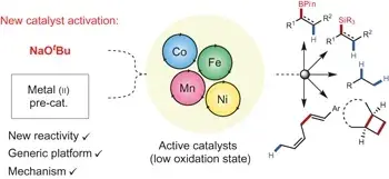 Activation and Discovery of Earth-Abundant Metal Catalysts Using Sodium tert-Butoxide