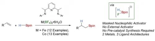 Earth-Abundant Metal Catalysis Enabled by Counterion Activation