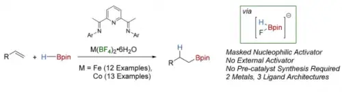 Earth-Abundant Metal Catalysis Enabled by Counterion Activation