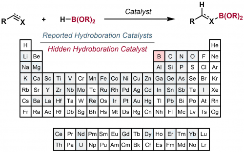 The Hidden Role of Boranes and Borohydrides in Hydroboration Catalysis 