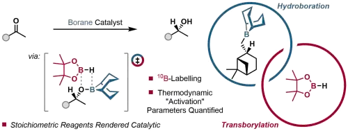  A Boron–Oxygen Transborylation Strategy for a Catalytic Midland Reduction