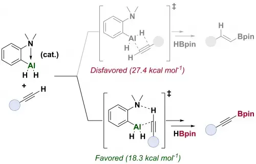 Aluminium-Catalyzed C(sp)−H Borylation of Alkynes