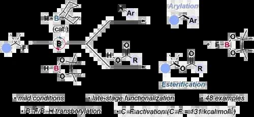  A Boron–nitrogen Transborylation Enabled, Borane-catalysed Reductive Cyanation of Enones