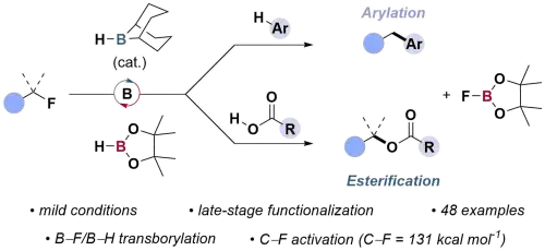  A Boron–nitrogen Transborylation Enabled, Borane-catalysed Reductive Cyanation of Enones
