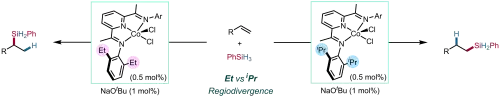 54. Cobalt-Catalysed, Ligand-Controlled Regiodivergent Alkene Hydrosilylation Jamie H. Docherty, Andrew P. Dominey and Stephen P. Thomas* Asian J. Org. Chem. 2021, 10, 2379–2384.
