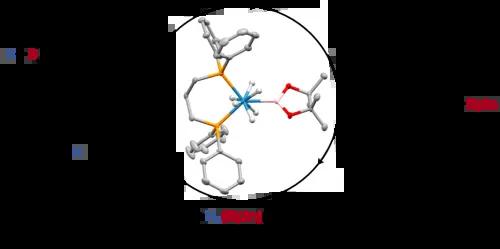 C–H Borylation Catalysis of Heteroaromatics by a Rhenium Boryl Polyhydride