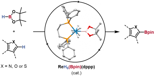 C–H Borylation Catalysis of Heteroaromatics by a Rhenium Boryl Polyhydride