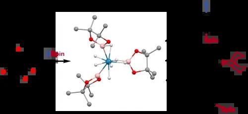 Synthesis and structures of anionic rhenium polyhydride complexes of boron–hydride ligands and their application in catalysis
