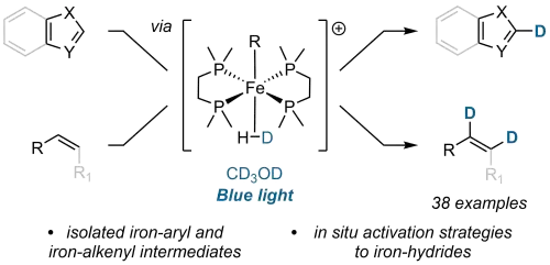 Iron-catalysed Alkene and Heteroarene H/D Exchange by Reversible Protonation of Iron-hydride Intermediates