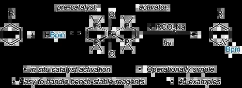 Iron-catalysed C(sp2)-H Borylation with Expanded Functional Group Tolerance