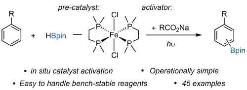 Iron-catalysed C(sp2)-H Borylation with Expanded Functional Group Tolerance