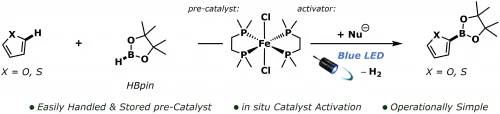 Iron-Catalysed C(sp2 )-H Borylation Enabled by Carboxylate Activation