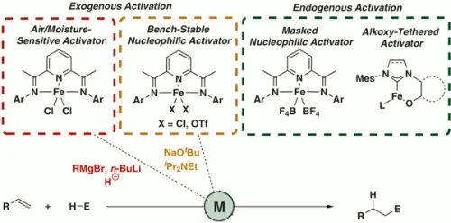 Activation Strategies for Earth-Abundant Metal Catalysis