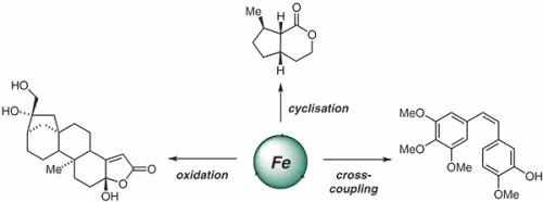 Iron Catalysis in Target Synthesis