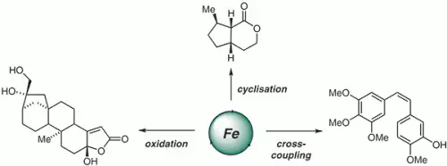 Iron Catalysis in Target Synthesis