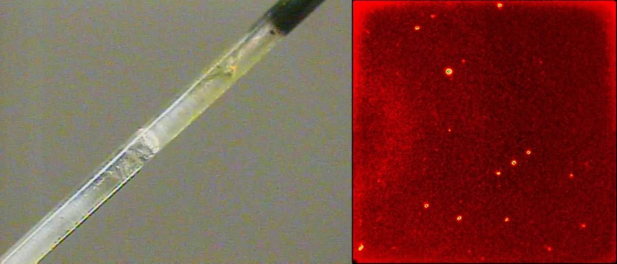 Crystal growth after 12 hours