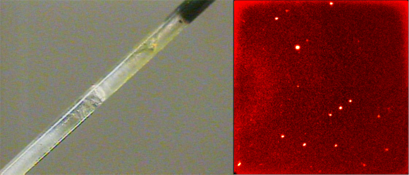 Crystal growth after 12 hours