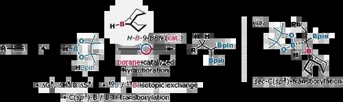 A Boron-Boron Double Transborylation Strategy for the Synthesis of gem-Diborylalkanes