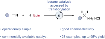 B–N/B–H Transborylation: Borane-catalysed Nitrile Hydroboration 
